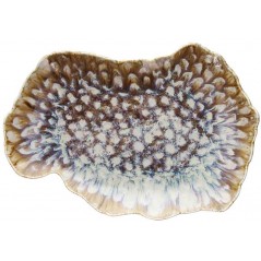 Tognana Reef Marine Talerz Obiadowy 32 x 30 cm